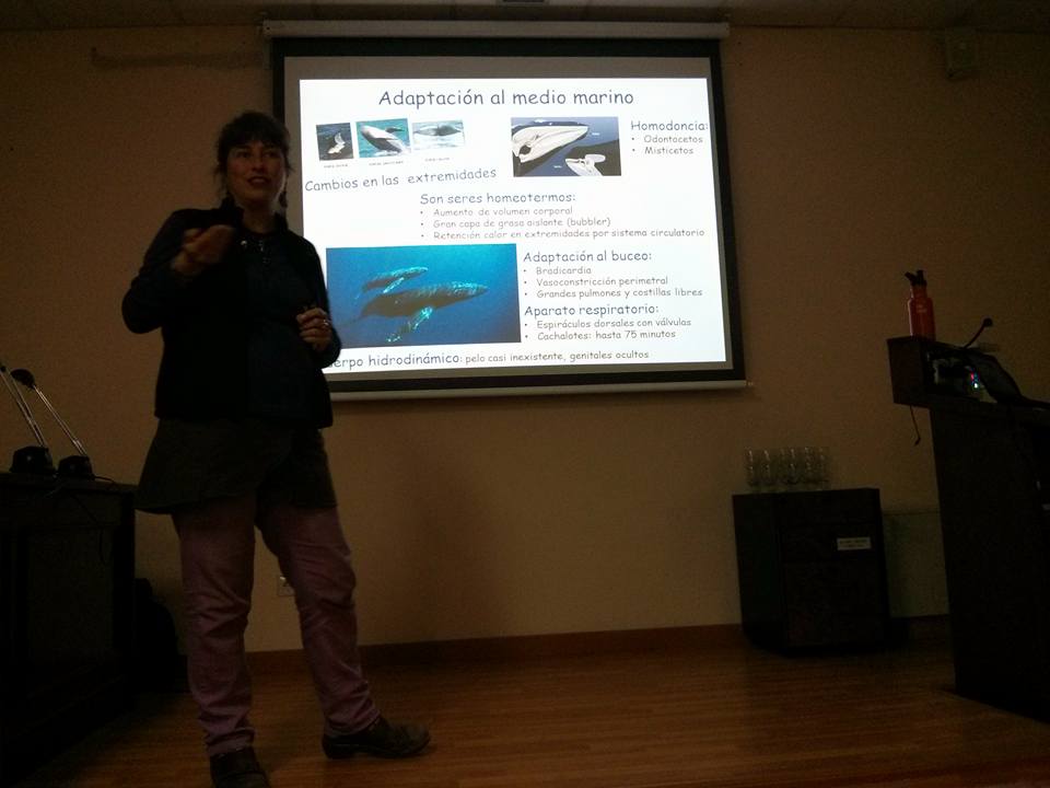 Charla sobre las ballenas en la Facultad de Ciencias de Cadiz.